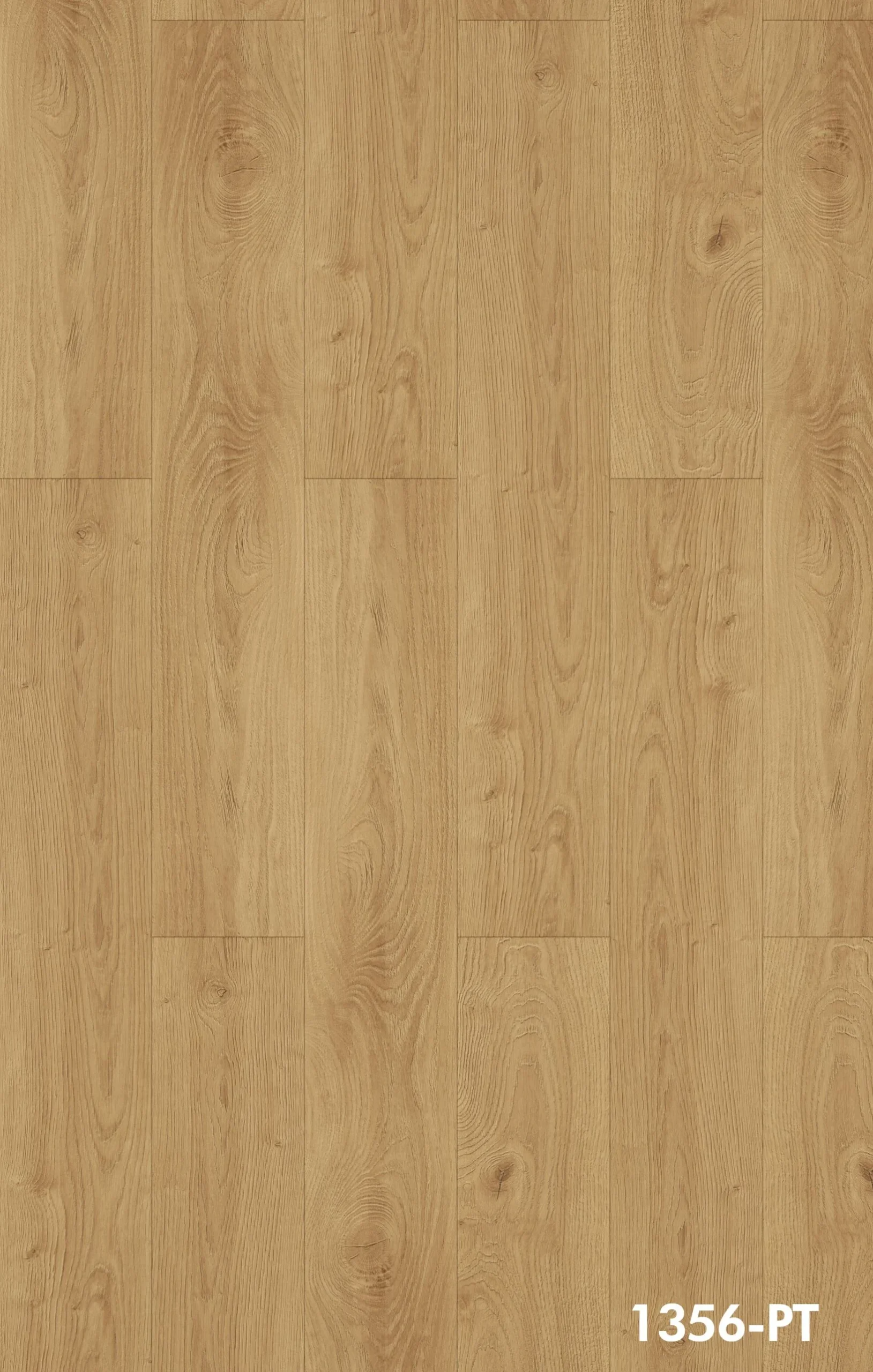 59823_1356-pt-20260410030148-scaled-20260612224219-转换自-webp.png